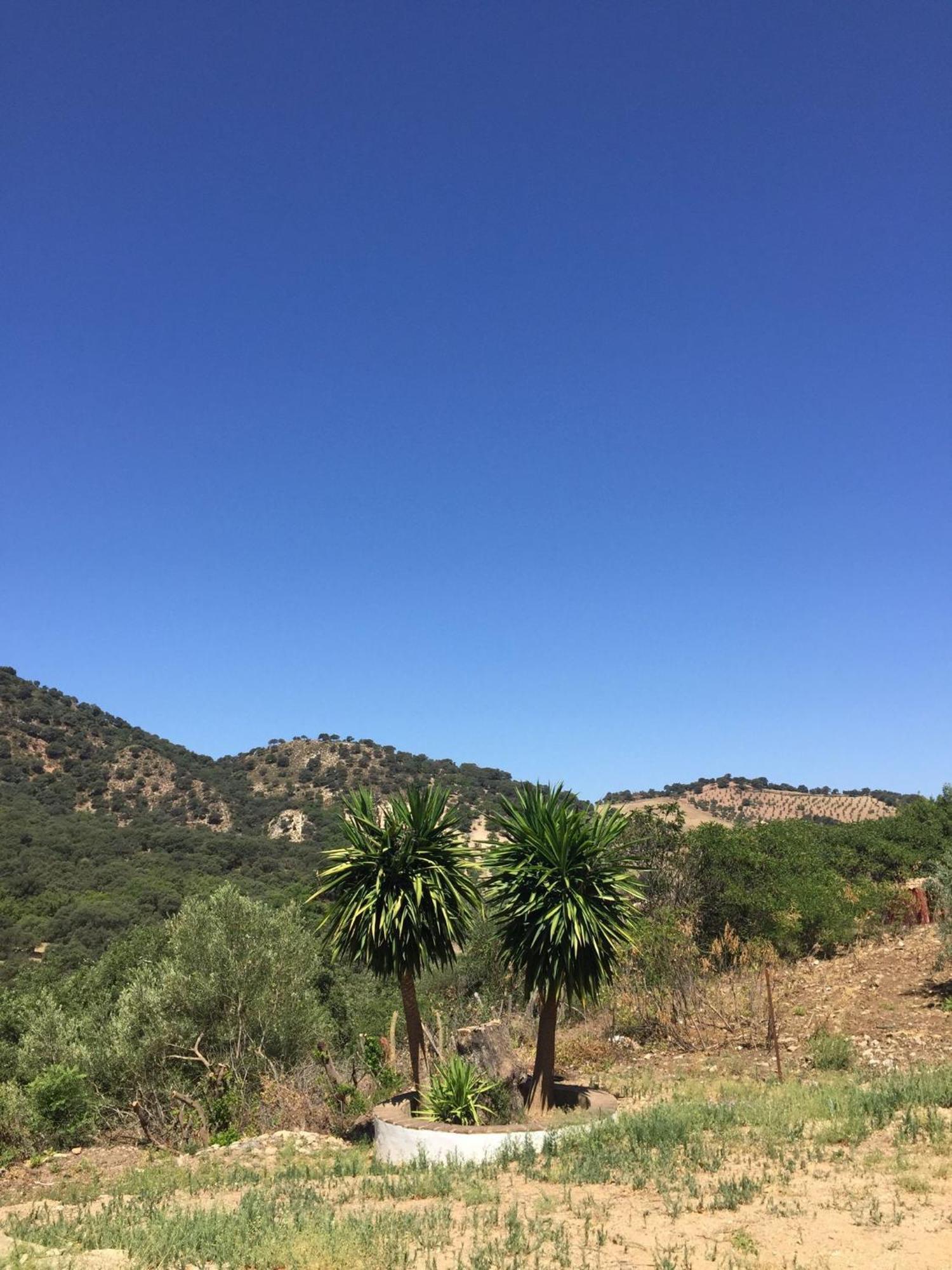 Holiday home Ponce De Leon Ronda